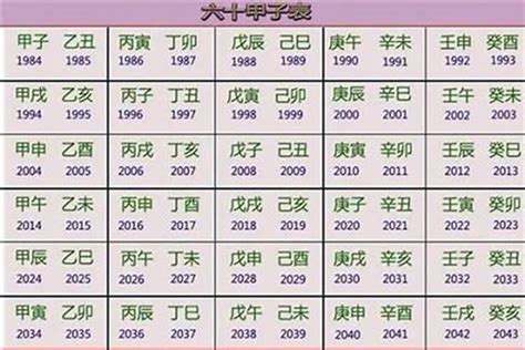 2022年生肖五行